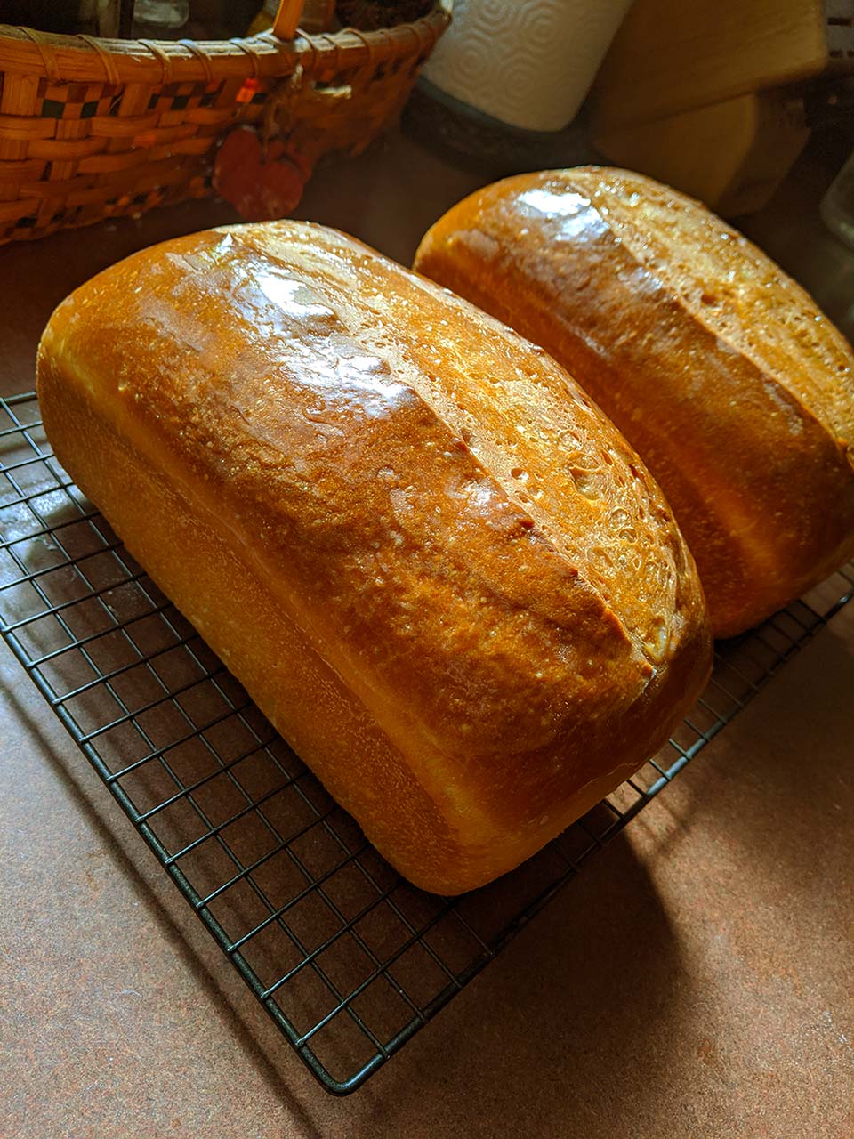Bread Baking 101 Avoiding the Nasty Bits The Imperfect Foodie